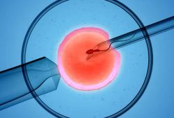 Embriões Excedentes – O Que fazer? Posso Descartar?