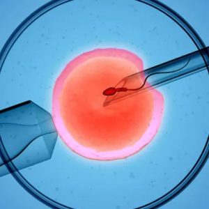 Embriões Excedentes – O Que fazer? Posso Descartar?